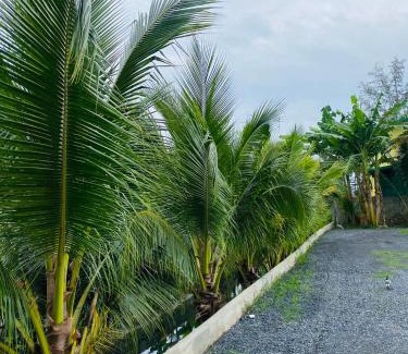 Sa Khu Hotel | Budget-Friendly Jhen House: Family Hospitality Awaits