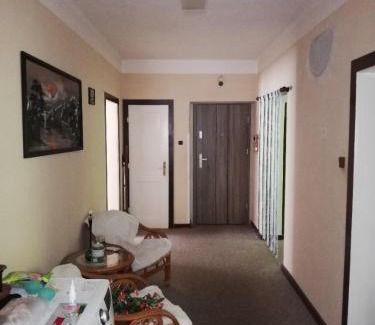 Jindrichov Apartment | Discover Jindřichov: Family-Friendly Retreat in Jeseníky