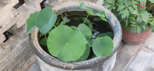 Chang'an District House | Jingxin Yayuan Homestay