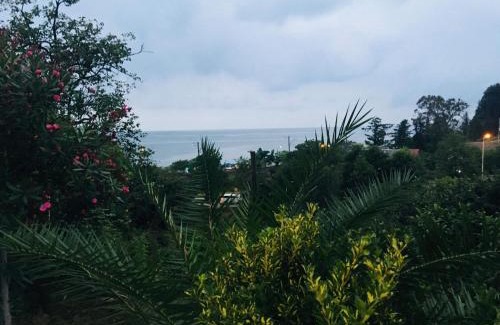 Mtsvane Kontskhi House | Oceanfront Jintcharadze Inn with Family-Friendly Amenities