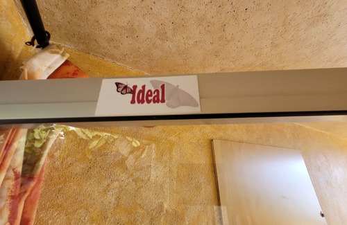 La Matanza de Acentejo Apartment | JM Ideal (3) by The Ocean Rentals