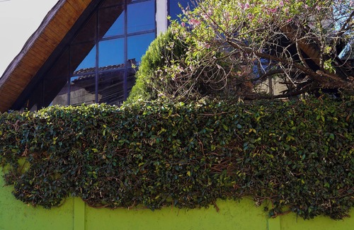 De Mexicanos House | John Cruz House