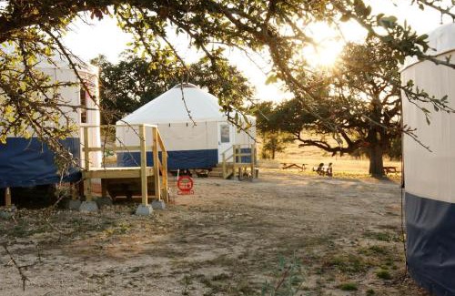 Johnson City Other | Johnny Yurts - The Lavender