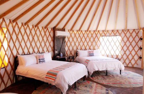 Johnson City Other | Johnny Yurts - The Lavender