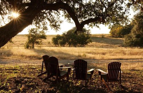 Johnson City Other | Johnny Yurts - The Pearl