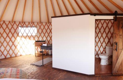 Johnson City Other | Johnny Yurts - The Rodeo