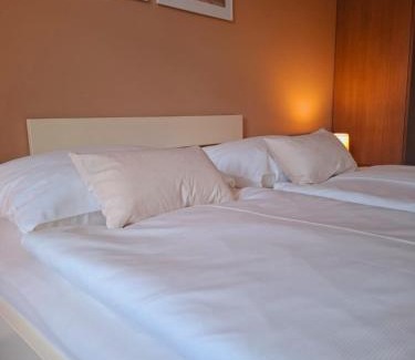 Marbach an der Donau Bed & Breakfast | Explore Johnys Jungle: Pet-Friendly Retreat with Top Reviews