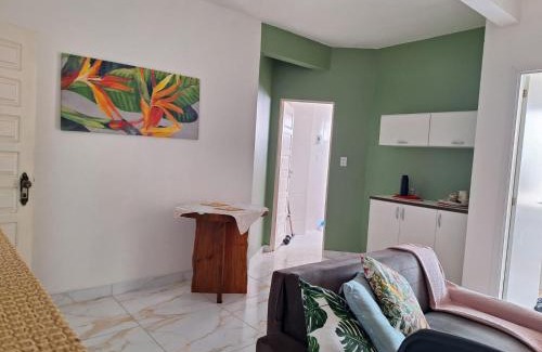 Centro Apartment | Top-Rated Joia Centro Manaus - Pet-Friendly Accommodations