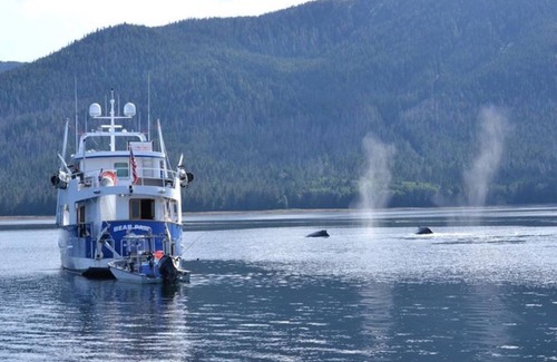 Friday Harbor Boat Rental | Experience Bear Paw: Your Private Yacht in San Juan Islands