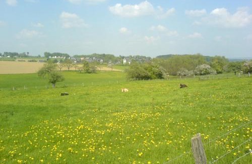 Urbach-Kirchdorf House | Cozy Jolanta-Ferienwohnung Near A3 - Pet Friendly Haven