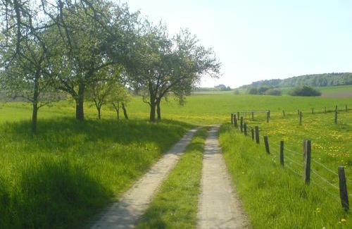 Urbach-Kirchdorf House | Cozy Jolanta-Ferienwohnung Near A3 - Pet Friendly Haven