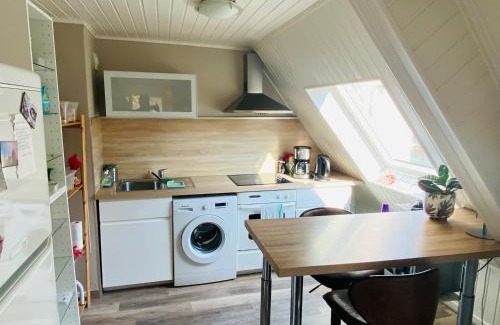 Haguenau Apartment | Cozy 2-Room Getaway with Terrace and City Views