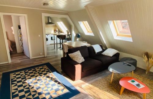 Haguenau Apartment | Cozy 2-Room Getaway with Terrace and City Views