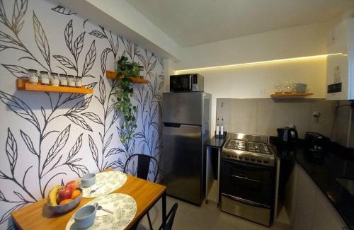 Lanin National Park Apartment | Guest Rated: Joli Apartments - Studio B in City Center