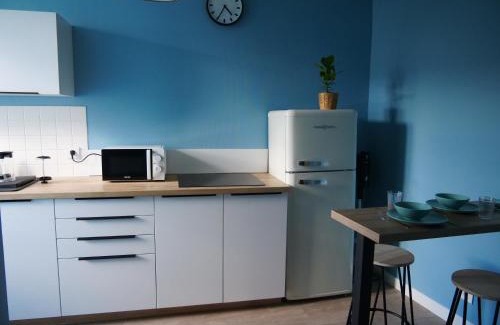 Faubourg Sud Apartment | Budget-Friendly Joli Cocon in Dijon City Center