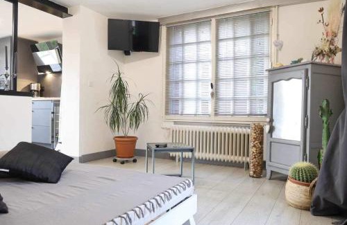 Beaugency Apartment | Cozy F2 in a Charming House – Rated 9/10 by Guests