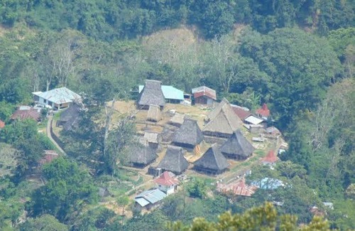 Moni Other | Pet-Friendly Retreat at Jonathan Camping Ground