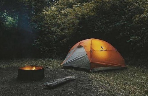 Moni Other | Pet-Friendly Retreat at Jonathan Camping Ground