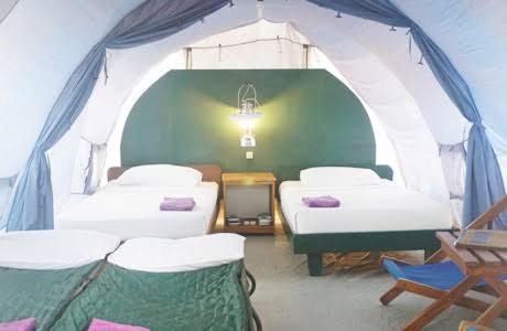 Moni Other | Pet-Friendly Retreat at Jonathan Camping Ground