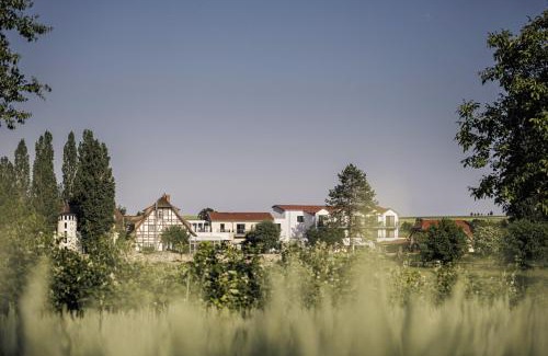 Mainz-Bingen Hotel | Experience Jordan's Untermühle: Pet Friendly Oceanfront Retreat