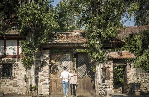 Mainz-Bingen Hotel | Experience Jordan's Untermühle: Pet Friendly Oceanfront Retreat