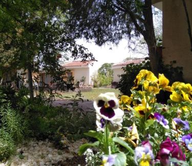 Kfar Ruppin Cabin | Pet-Friendly Jordan Valley Birding Lodge with Great Reviews