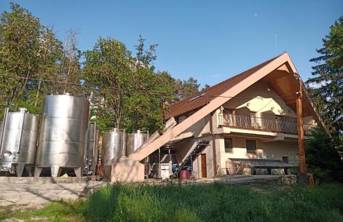 Kotcse House | Discover Comfort at Josephus Vendégház with Hot Tub Access