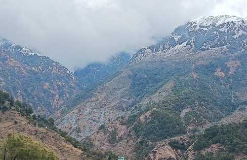 Dharamshala House | Convenient Joy Homestay in Mcleodganj, Steps from Jogiwara