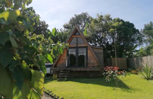 Fort Portal Ski Chalet | Discover JP's A Frame Cabin: Pet-Friendly Retreat Awaits