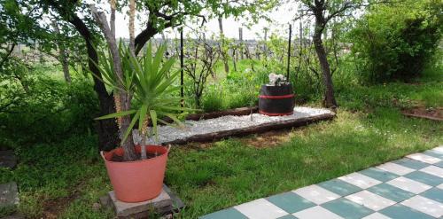 Csopak House | Top-Rated Julianna Nyaraló with Pet-Friendly Amenities