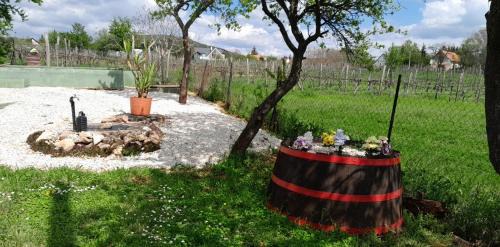 Csopak House | Top-Rated Julianna Nyaraló with Pet-Friendly Amenities