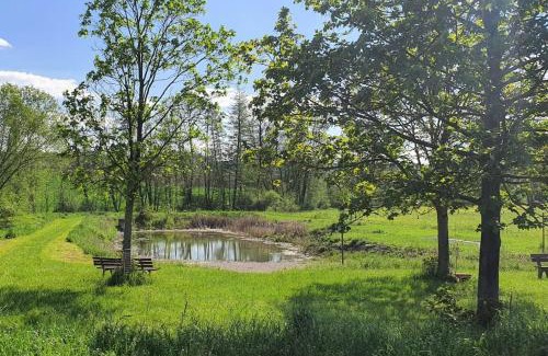 Flachslanden Apartment | Pet-Friendly Retreat at Apartment Virnsberg - Rated 8.8/10