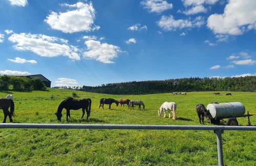 Flachslanden Apartment | Pet-Friendly Retreat at Apartment Virnsberg - Rated 8.8/10