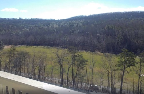 Basye Condo | Relaxing Mountain Retreat: 2BR with Kitchen in Shenandoah