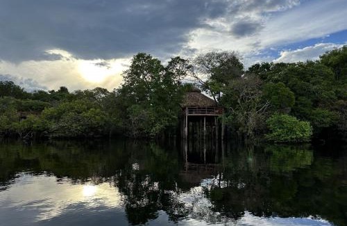 Careiro da Varzea Hotel | Explore Juma Amazon Lodge: 4-Star Oasis with Pool & Ocean View