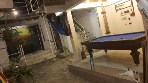 Palomino House | Cozy Oceanfront Getaway at Jumanji - Rated 8.9/10!