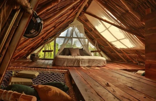 Bacalar Hotel | Discover Jungla Bacalar: Pet-Friendly Oasis with Spa