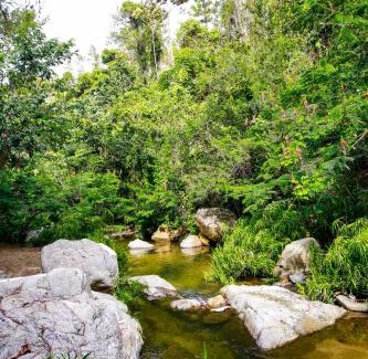San Jose de las Matas Ski Chalet | Experience Junglavida: Pet-Friendly Retreat with Pool