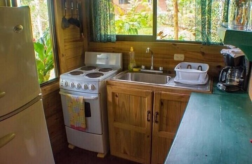Parrita Cabin | Relaxing Jungle & River View Cabin with Pet-Friendly Amenities
