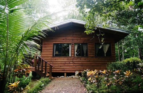 Parrita Cabin | Relaxing Jungle & River View Cabin with Pet-Friendly Amenities