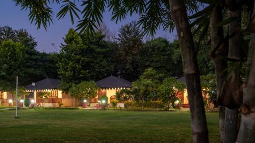 Sawai Madhopur Other | Discover Jungle Cave Resort with Oceanfront Pool Access