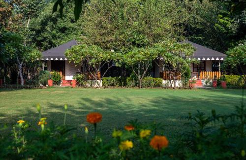 Sawai Madhopur Other | Discover Jungle Cave Resort with Oceanfront Pool Access