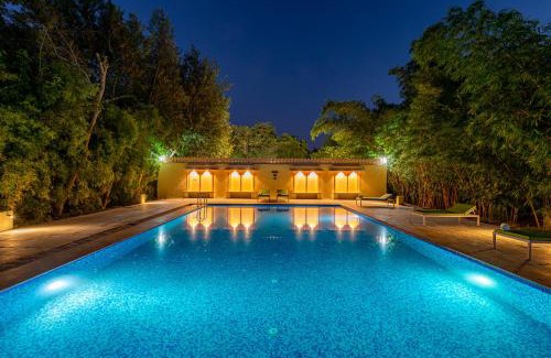 Sawai Madhopur Other | Discover Jungle Cave Resort with Oceanfront Pool Access