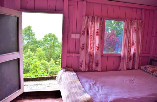 Nagarkot Hotel | Eco-Friendly Escape at Jungle Crown Organic Homestay