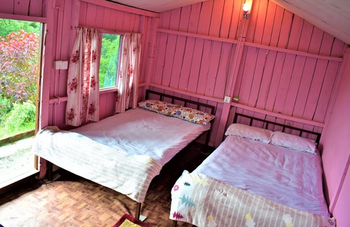 Nagarkot Hotel | Eco-Friendly Escape at Jungle Crown Organic Homestay