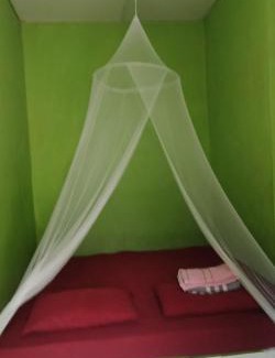 Bukit Lawang House | Jungle house and treking