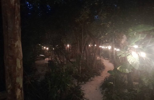 Macario Gomez House | Explore Jungle House: Family and Pet-Friendly Retreat Near Tulum