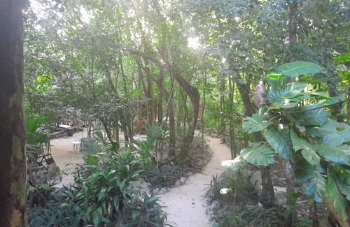 Macario Gomez House | Explore Jungle House: Family and Pet-Friendly Retreat Near Tulum