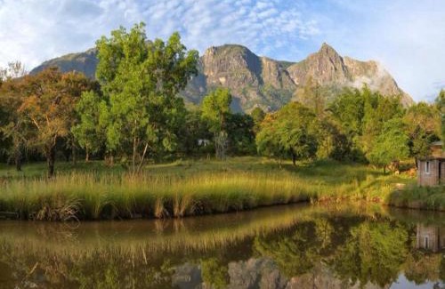 Masinagudi Resort | Relax at Jungle Hut: Rated 9.3 with Pool & Spa Amenities