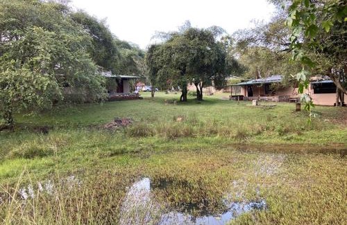 Masinagudi Resort | Relax at Jungle Hut: Rated 9.3 with Pool & Spa Amenities